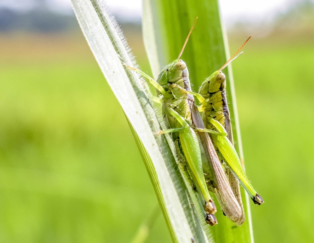 Photograph by setyadi Budi Siswoyo