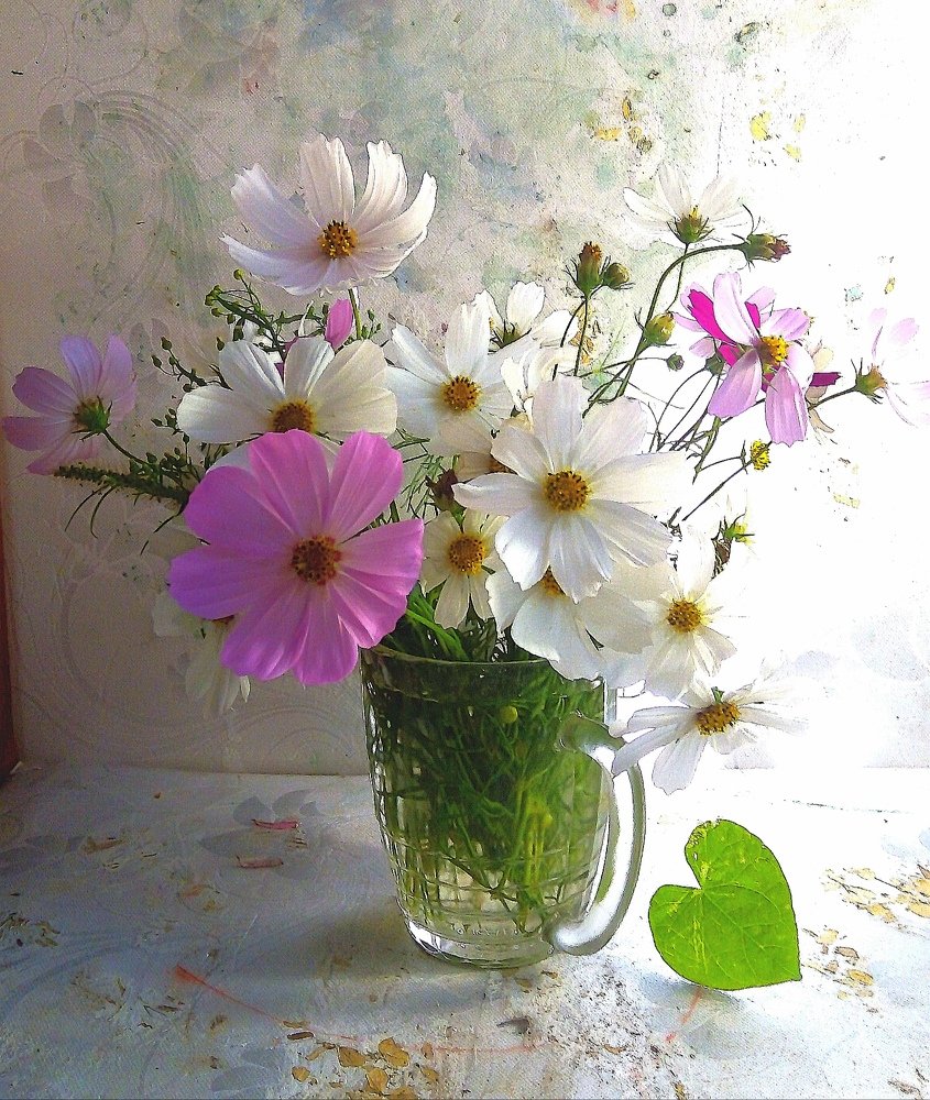 Photograph by Людмила Гончарова