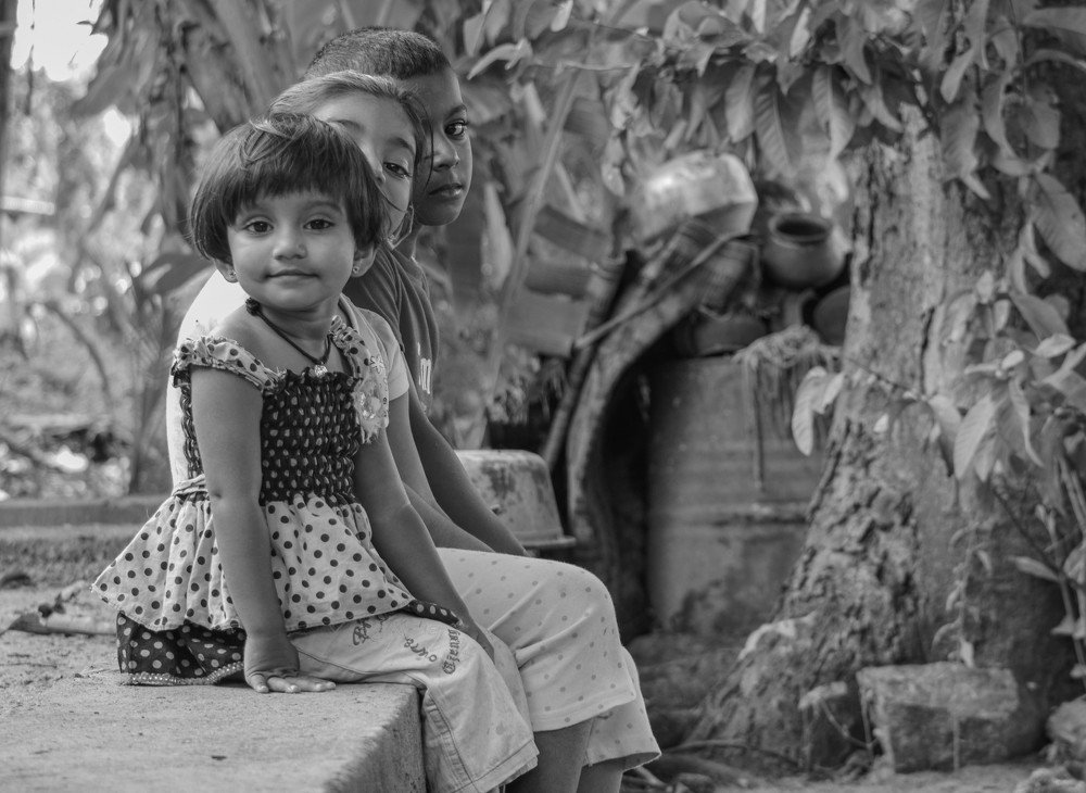 Photograph by dulanjan saranga