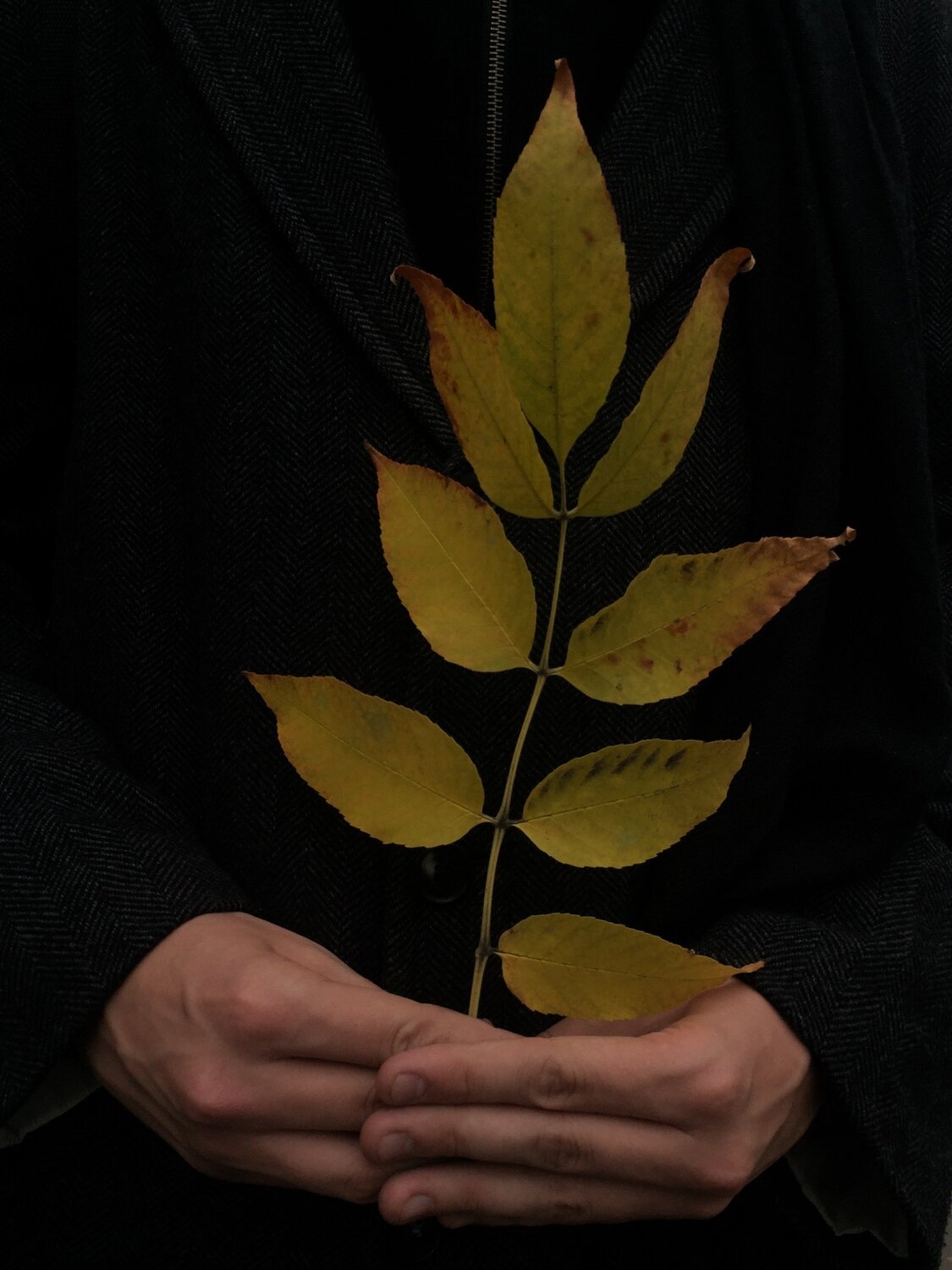 Photo #3568911