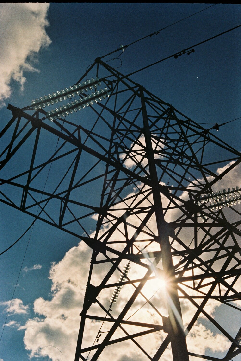 Photo #3568936