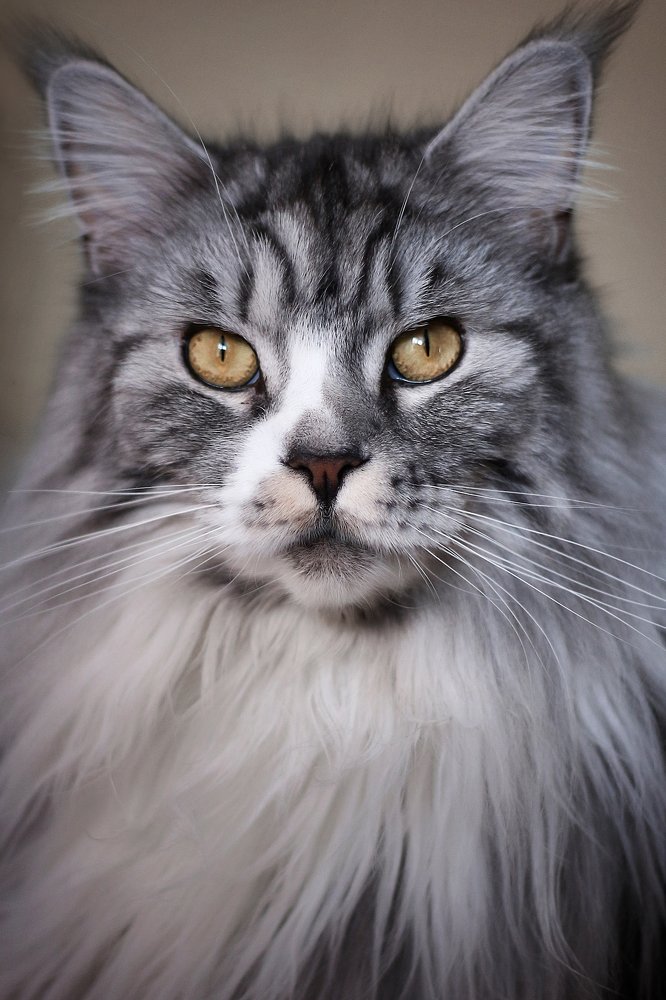 Photograph by Анастасия Мещерякова