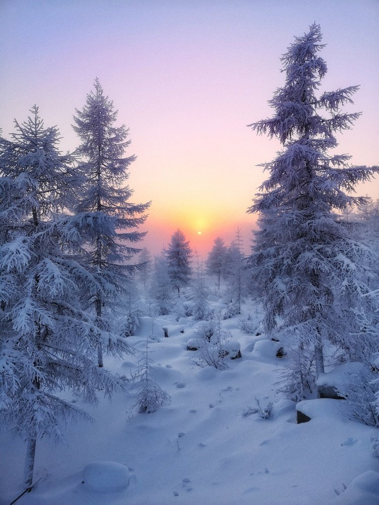 Зимняя сказка