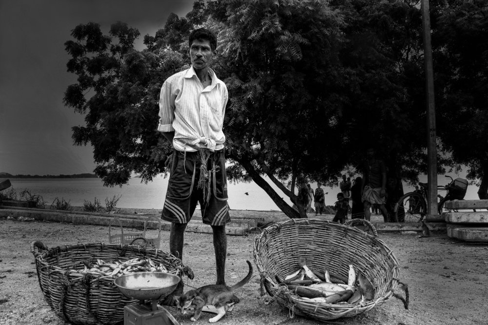 Фотография автора Lahiru Sihina