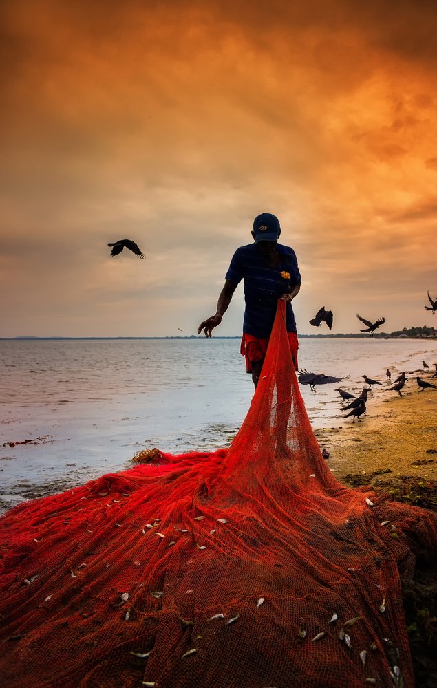 Фотография автора Lahiru Sihina