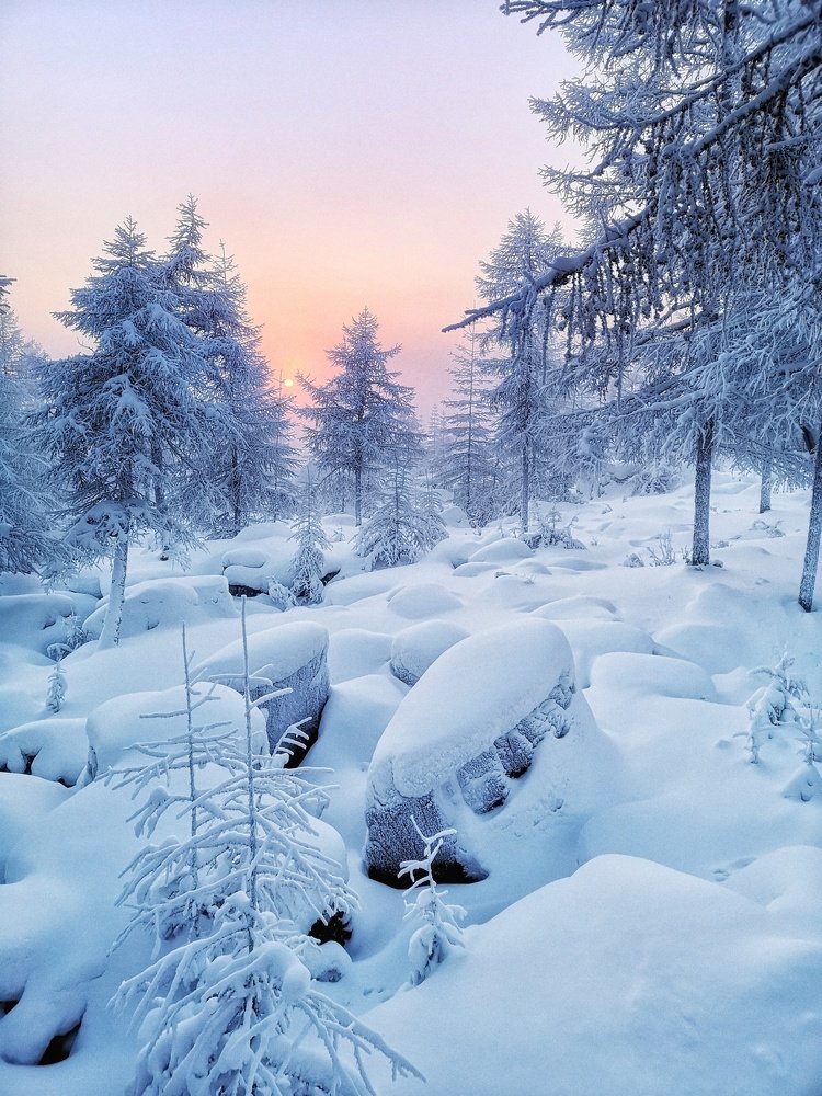 В белом царстве.