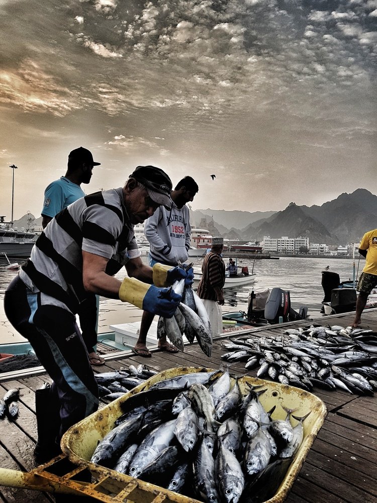 Photograph by Monalisa Mukherjee