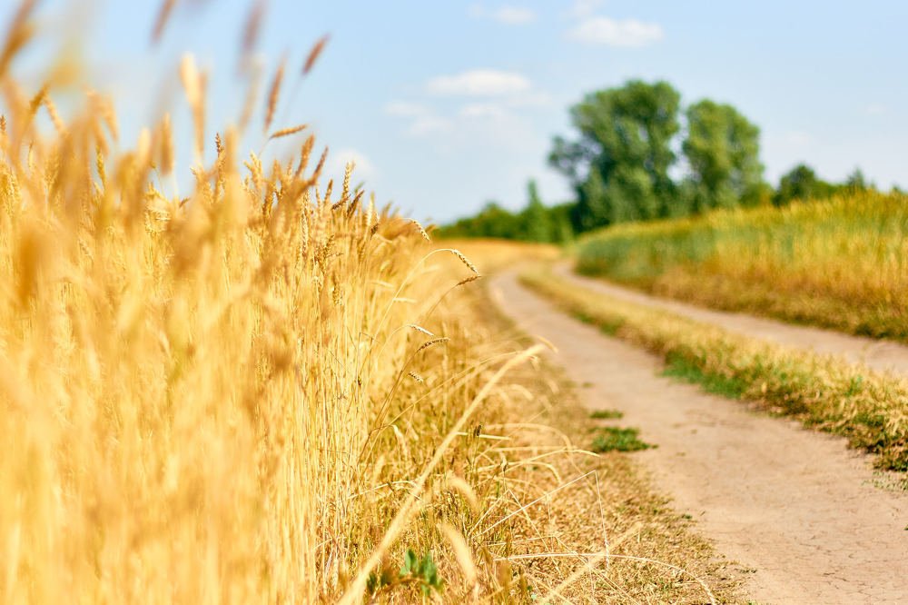 Photograph by Константин Кузнецов