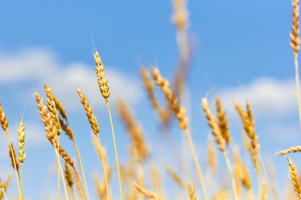 Photograph by Константин Кузнецов