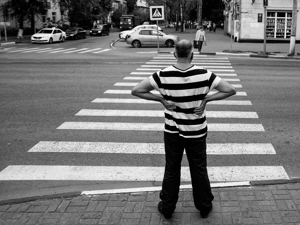 Вернулся я на родину... (В родной стихии)