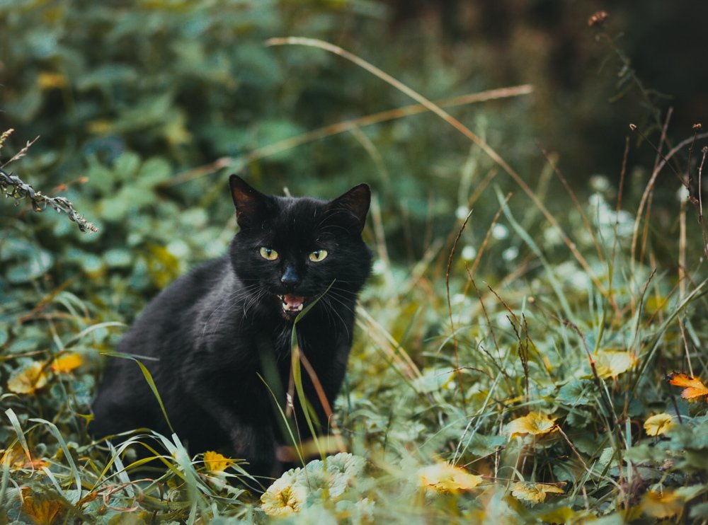 Photograph by Светлана Барановская