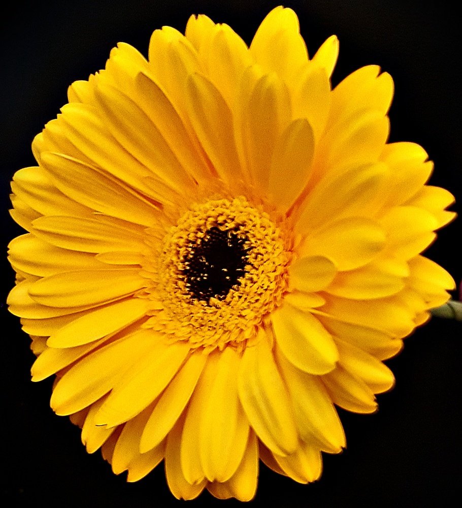 Photograph by Mojca Rebol