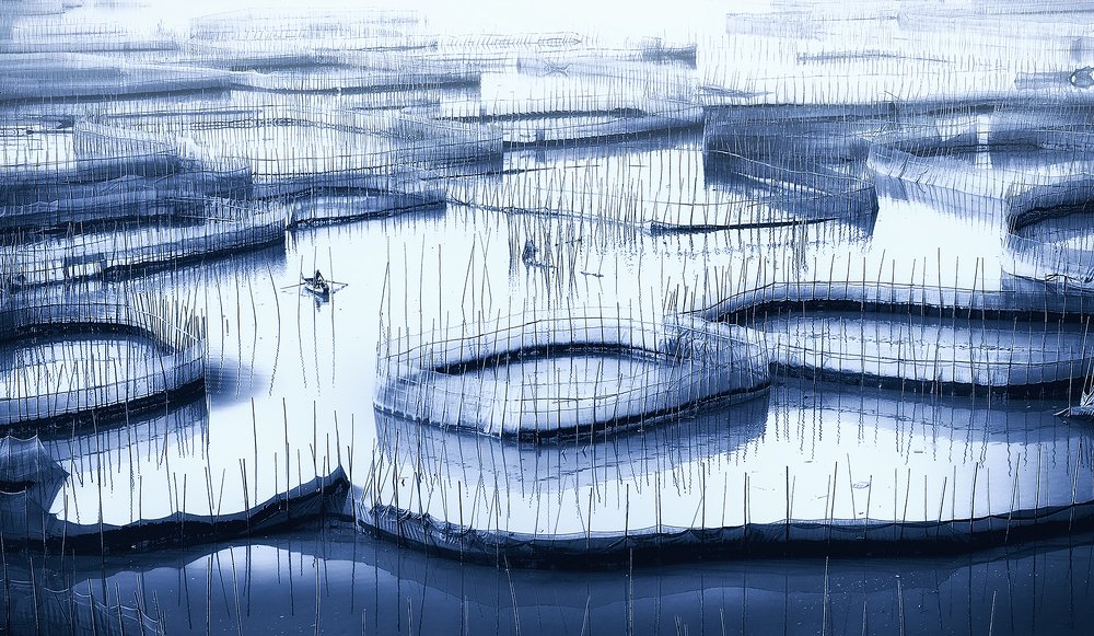 Photograph by suk eun kim