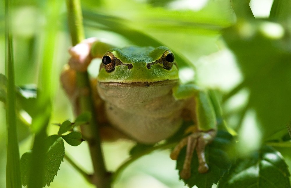 Photograph by Ирина Коденцева