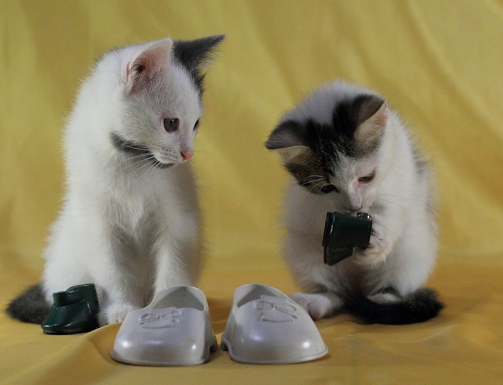 Странный фасон