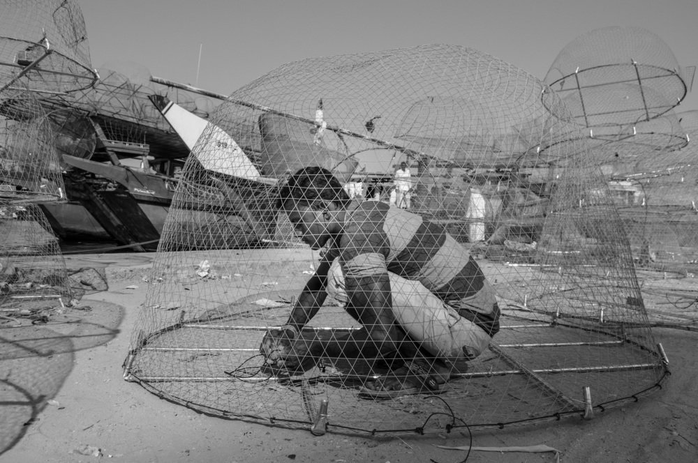 Photograph by Abdul hameed Thahir