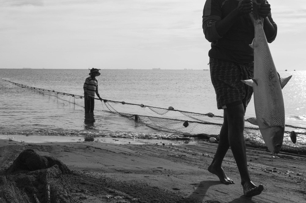 Photograph by Abdul hameed Thahir