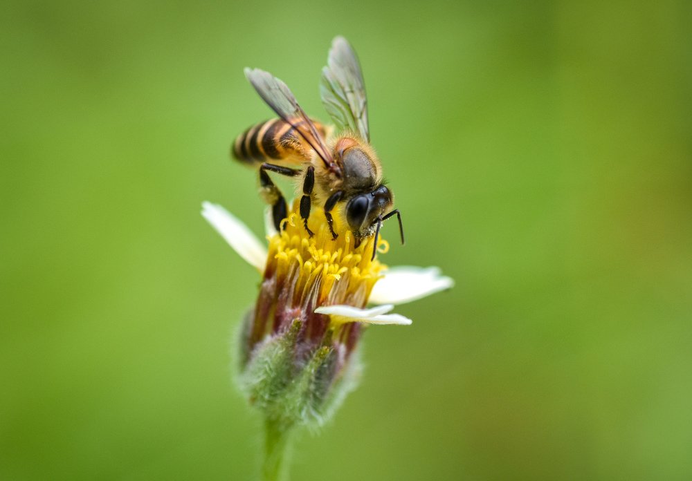 Photograph by Nicholas Ng