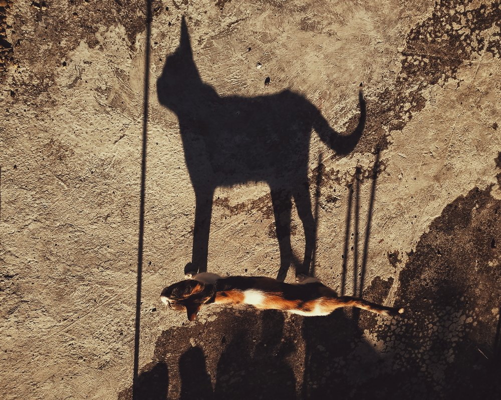 Photograph by Joel Gerone Larupay