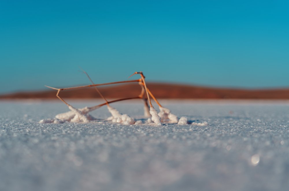 Photograph by Андрей Облап