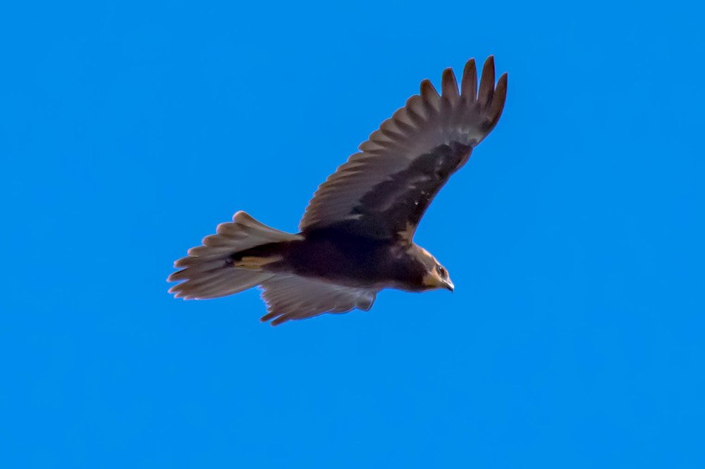 Photograph by Елена Прохорова