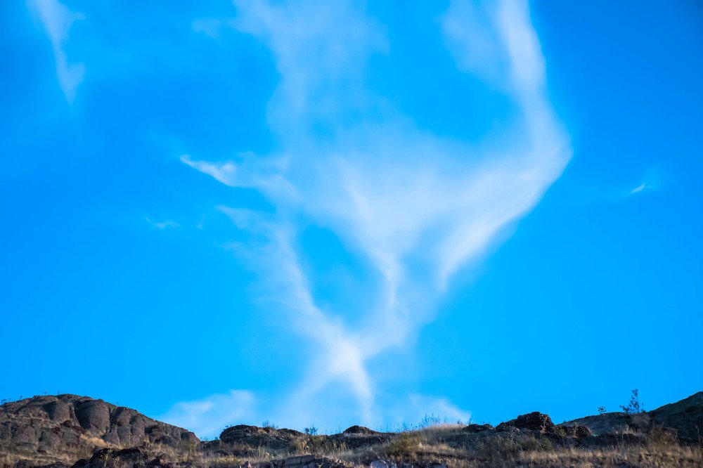 Photograph by Елена Прохорова