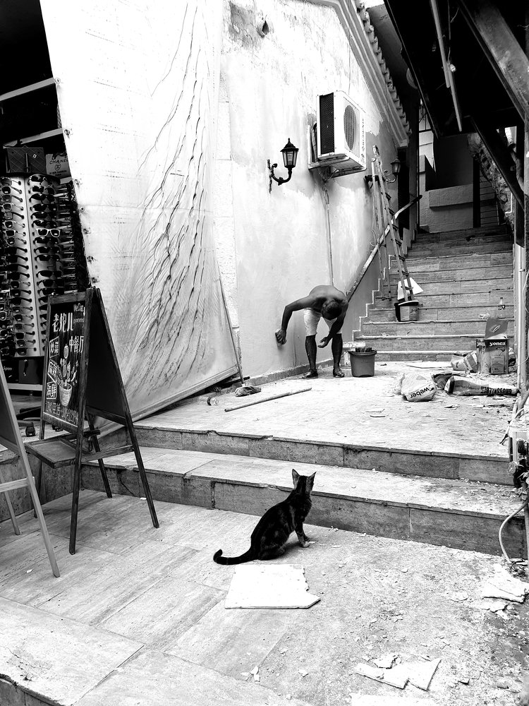 Photograph by Ahmet Vurucu