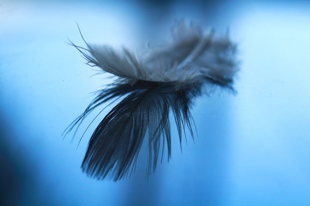 Photograph by Yusuf Buchari