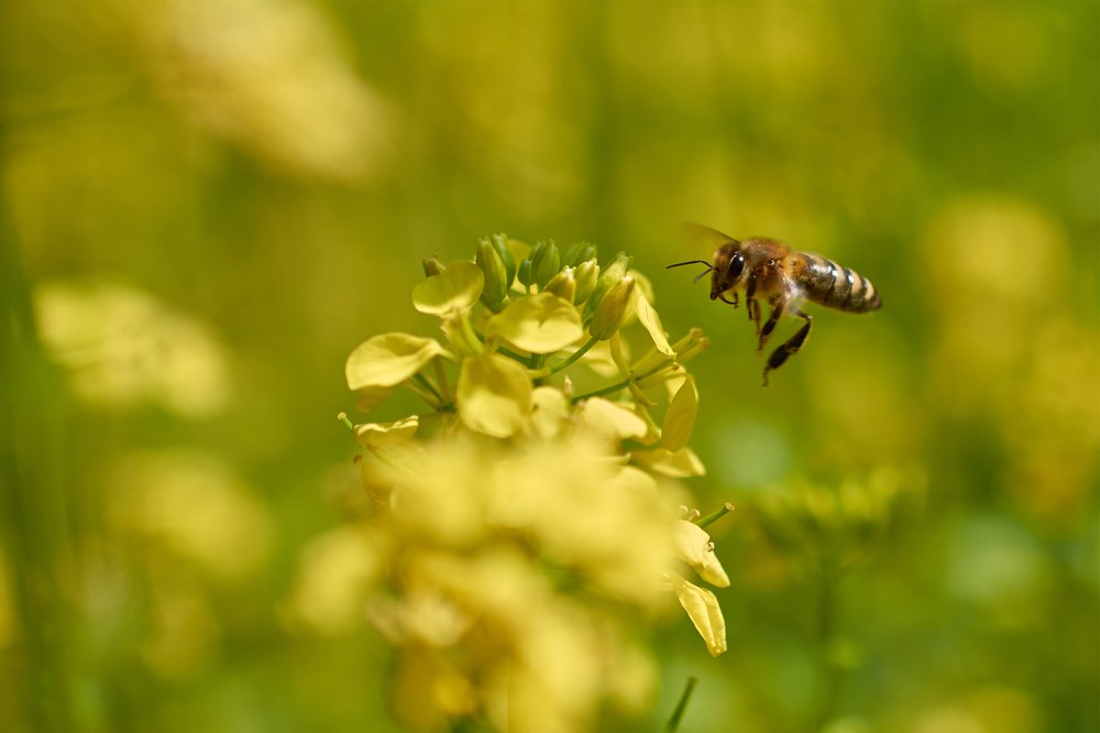 Photograph by Татьяна Громова