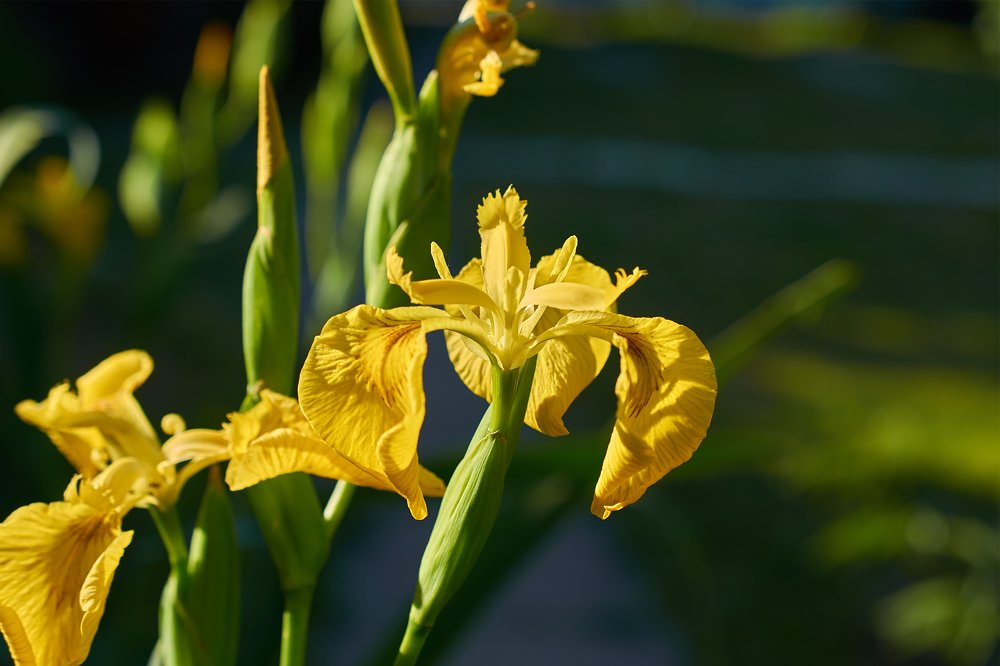 Photograph by Татьяна Громова