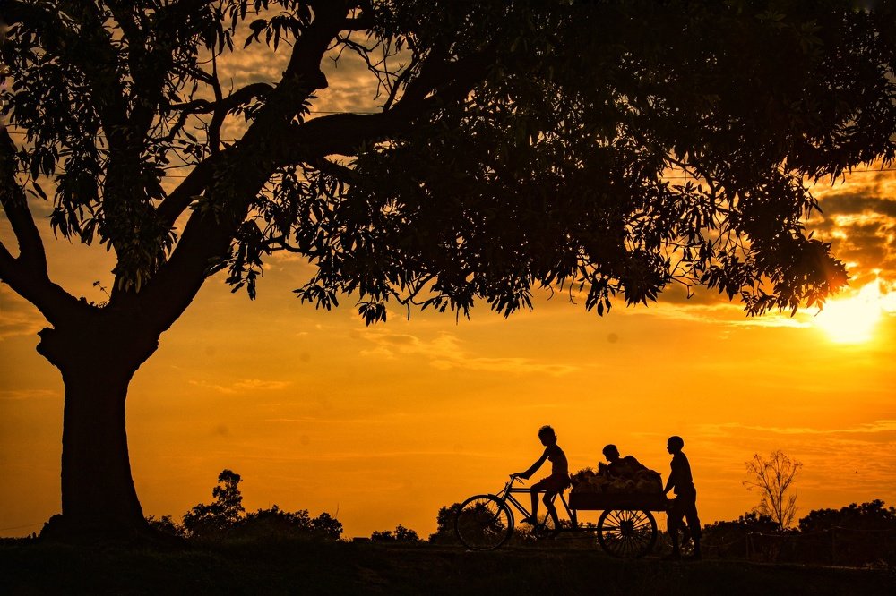 Photograph by Prince Kumar