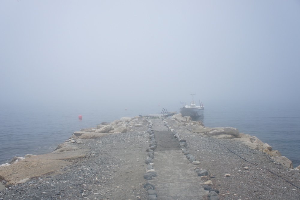 Photograph by Юлия