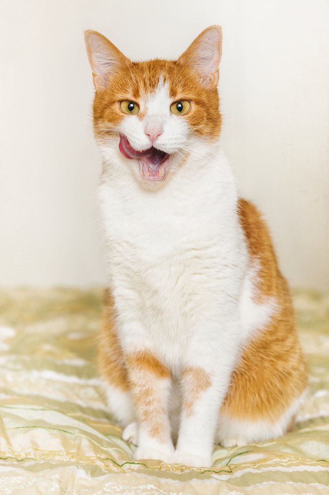 Photograph by Юлия Милосердова