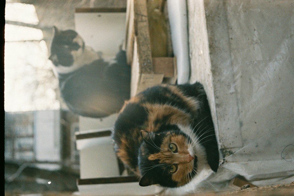 Photograph by Ангелина Егорова