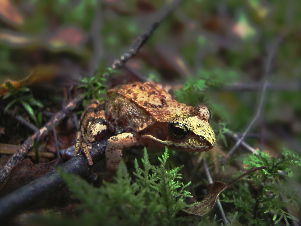 Photograph by Anton Makovsky