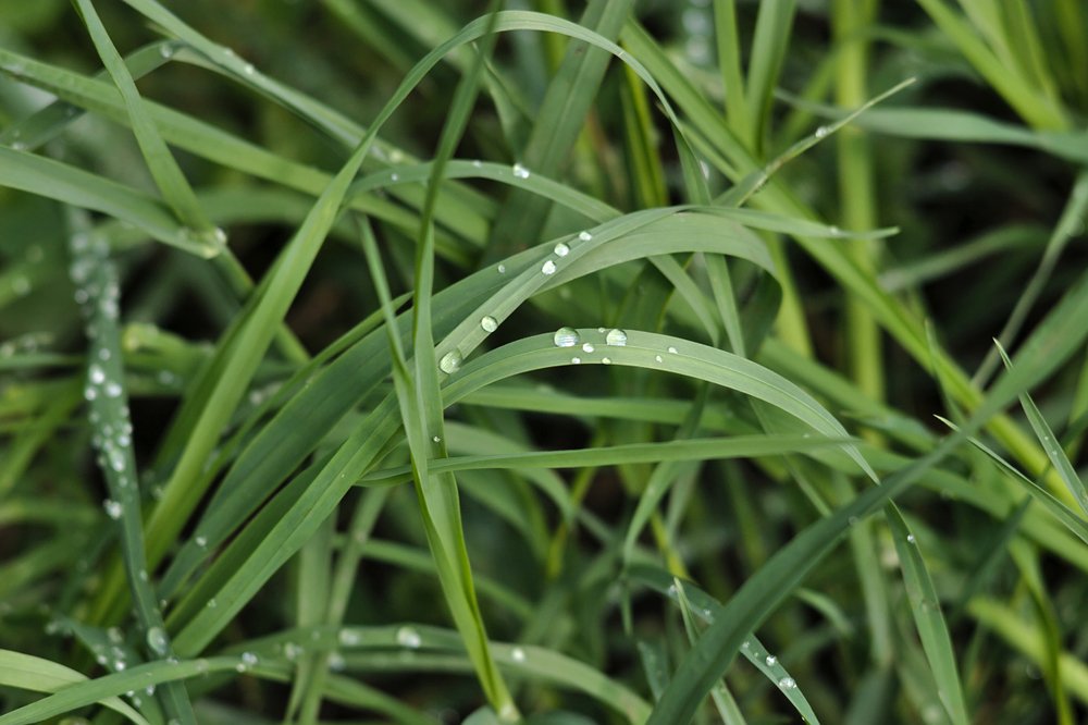 Photograph by Евгений Беленков