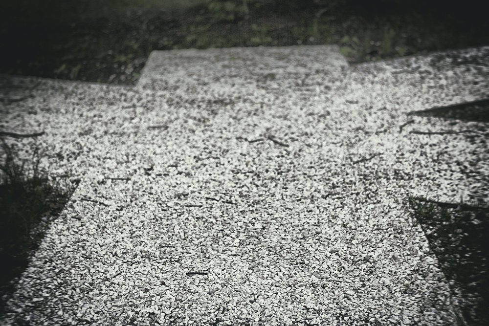 Photograph by Екатерина Голотина