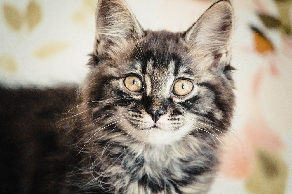 Photograph by Маргарита Федурина