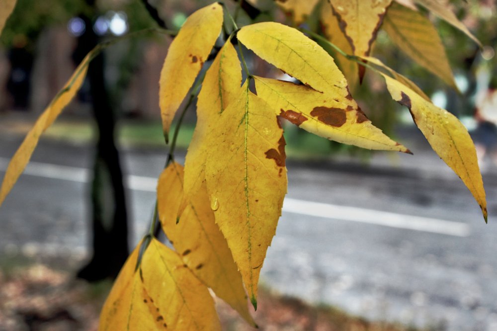 Где ты, лето?