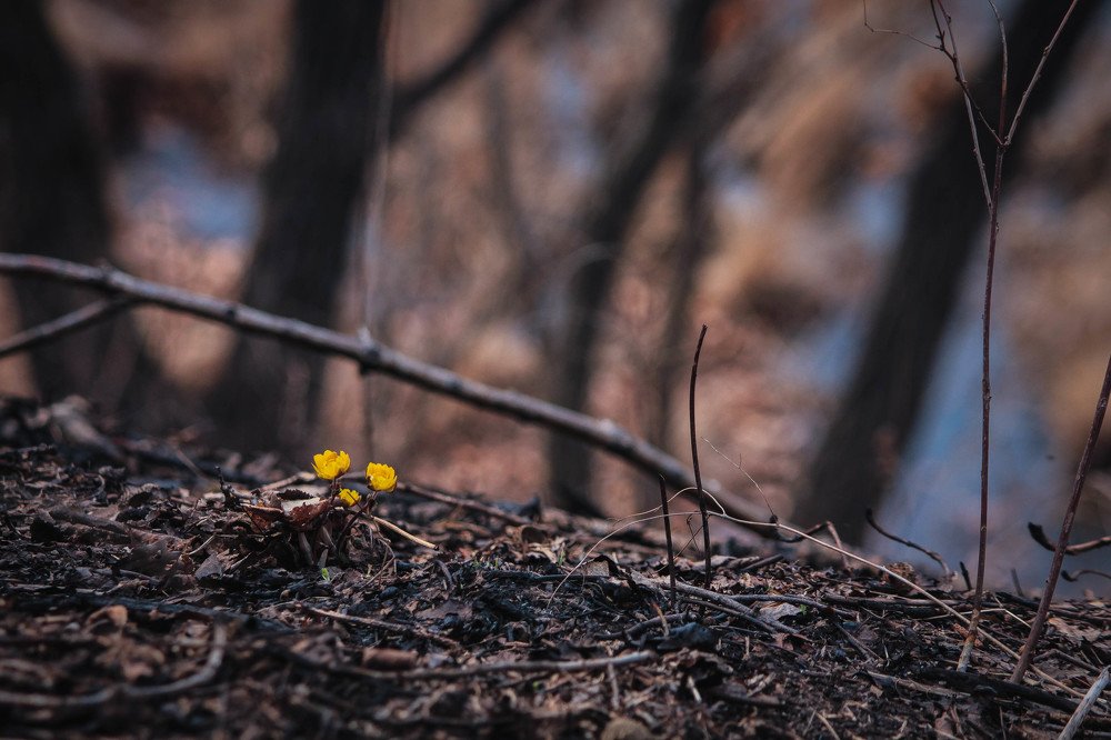 Photograph by Маргарита Федурина