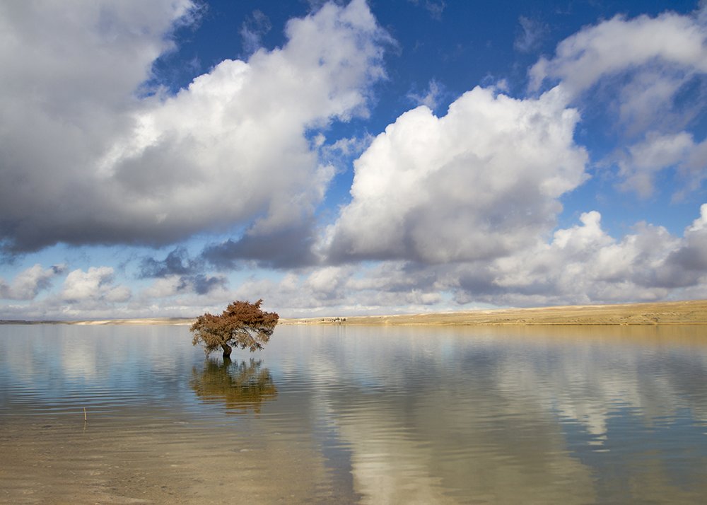 Фотография автора feyzullah Tunç