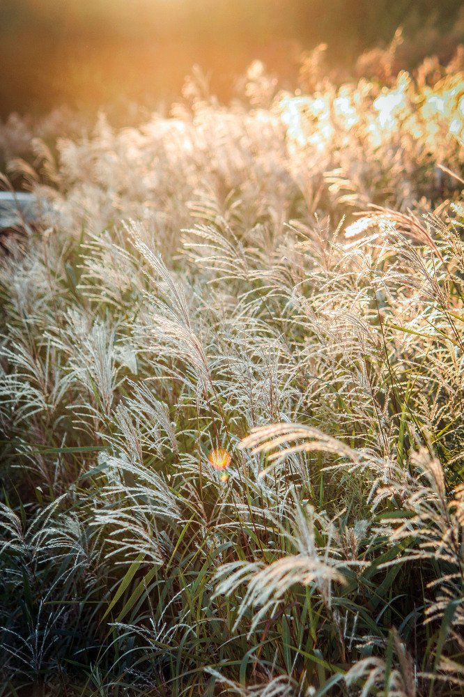 Photograph by Маргарита Федурина