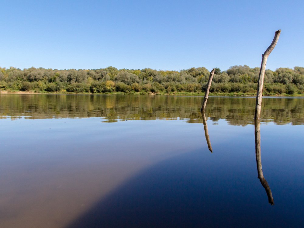 Photograph by Михаил Корнеев