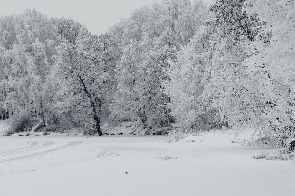 Photograph by Сергей Забиякин