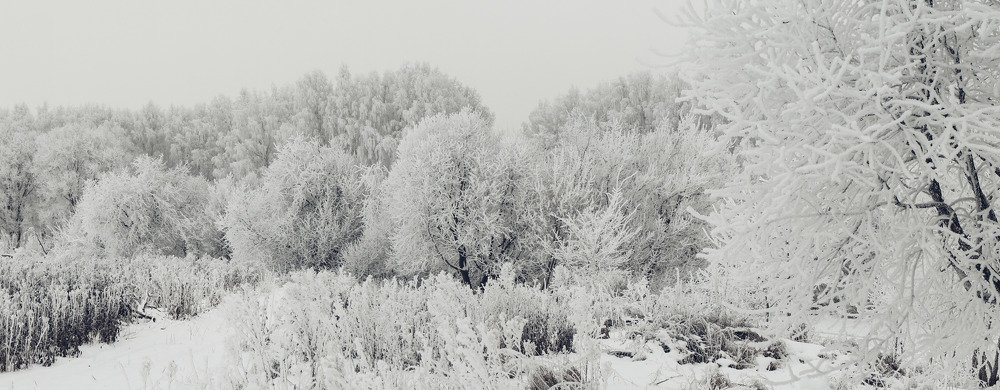 Photograph by Сергей Забиякин