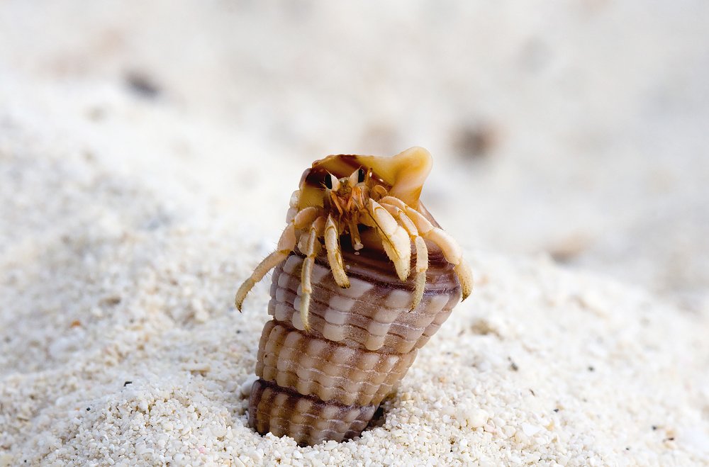 Photograph by Ирина Коденцева