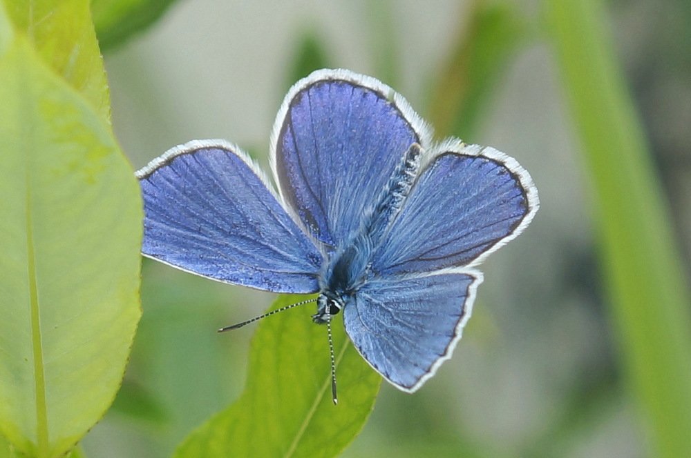 Photograph by Ольга Воронова