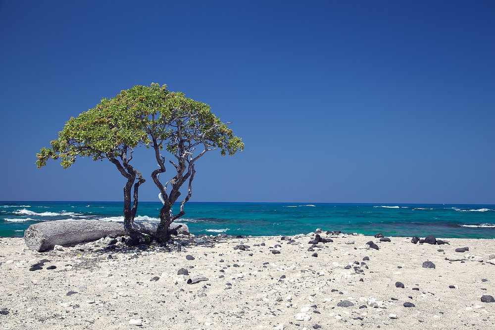 Photograph by Ирина Коденцева