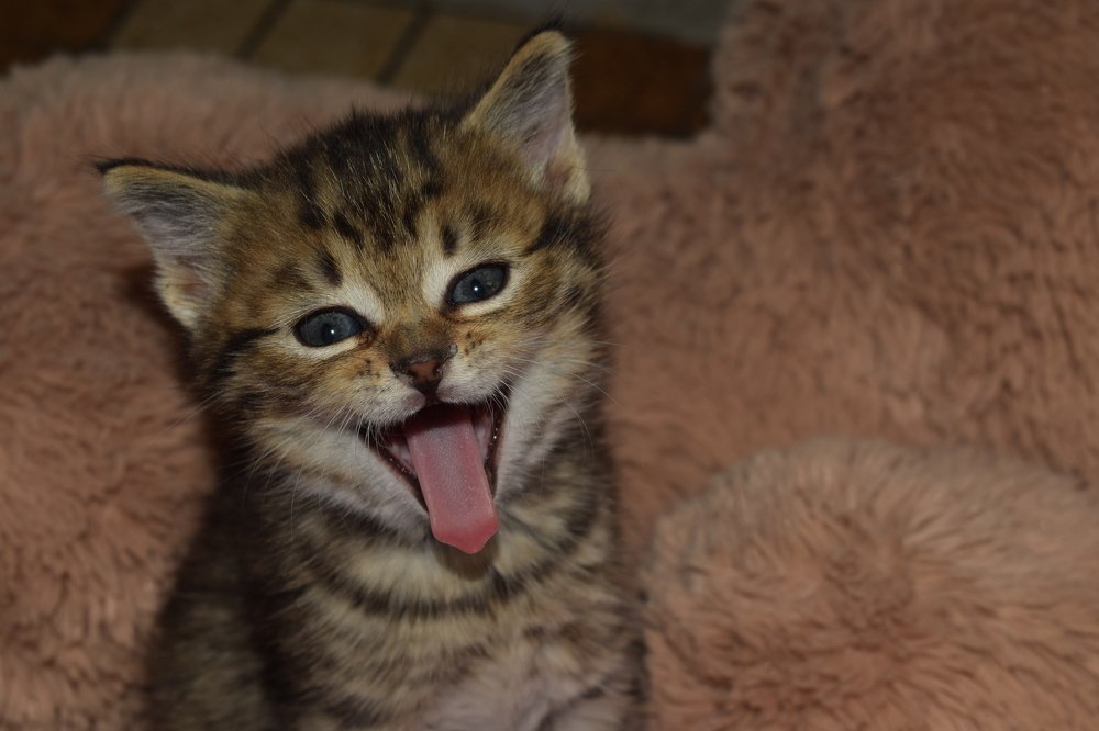 Photograph by Tendero