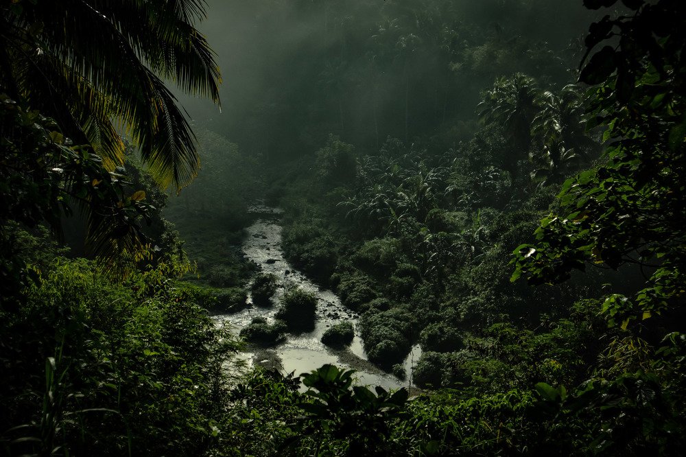 Photograph by John Denry Salazar